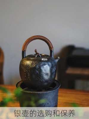 银壶的选购和保养