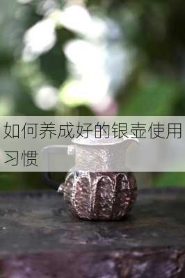 如何养成好的银壶使用习惯