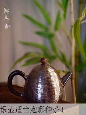 银壶适合泡哪种茶叶
