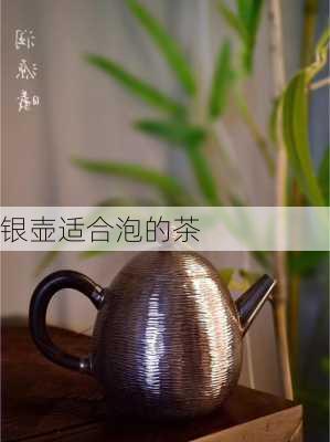 银壶适合泡的茶