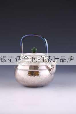 银壶适合泡的茶叶品牌