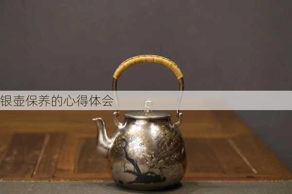银壶保养的心得体会