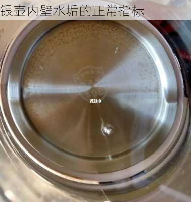 银壶内壁水垢的正常指标