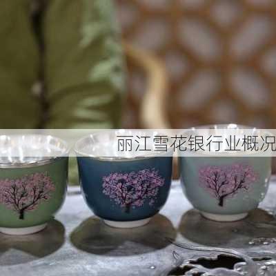 丽江雪花银行业概况
