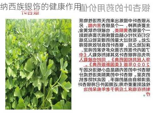 纳西族银饰的健康作用