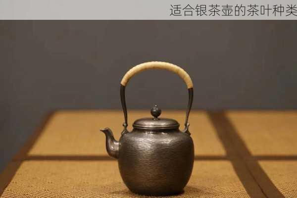 适合银茶壶的茶叶种类