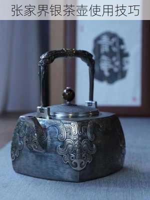 张家界银茶壶使用技巧