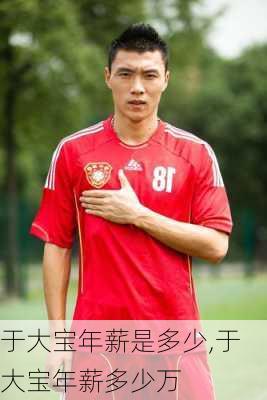 于大宝年薪是多少,于大宝年薪多少万
