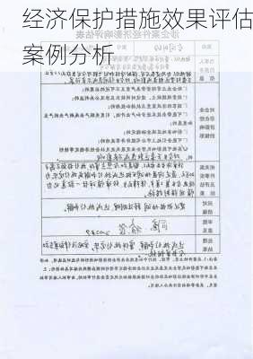 经济保护措施效果评估案例分析