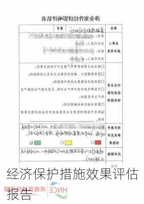 经济保护措施效果评估报告