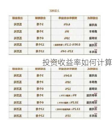 投资收益率如何计算