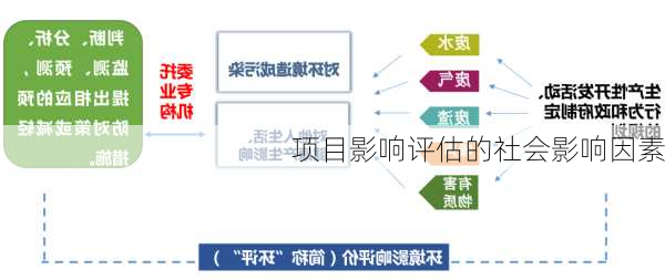 项目影响评估的社会影响因素