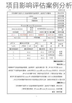 项目影响评估案例分析