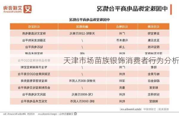 天津市场苗族银饰消费者行为分析