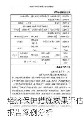 经济保护措施效果评估报告案例分析