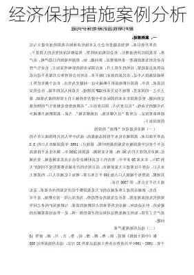 经济保护措施案例分析