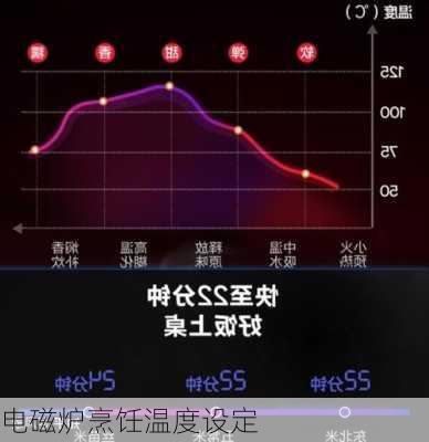 电磁炉烹饪温度设定