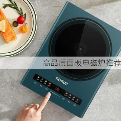 高品质面板电磁炉推荐