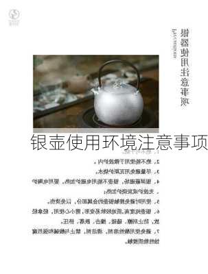 银壶使用环境注意事项