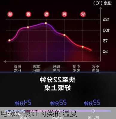 电磁炉烹饪肉类的温度
