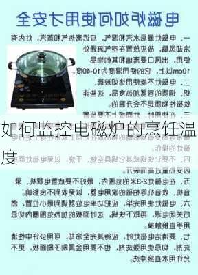 如何监控电磁炉的烹饪温度