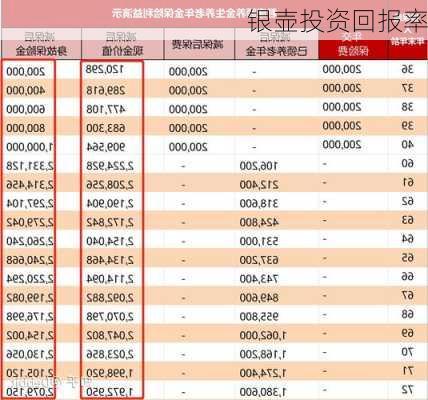 银壶投资回报率