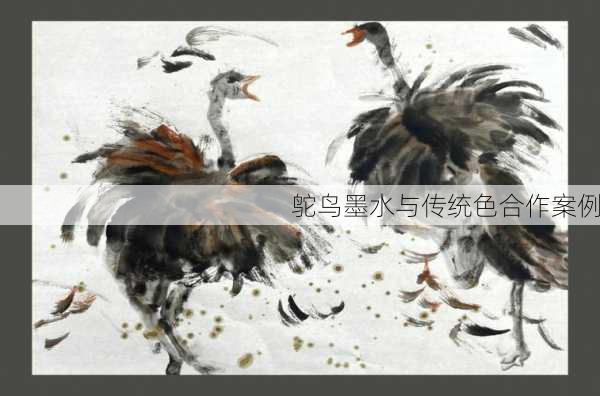 鸵鸟墨水与传统色合作案例