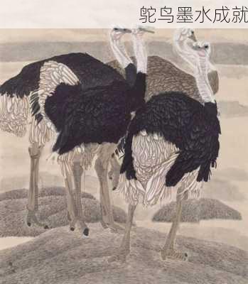 鸵鸟墨水成就