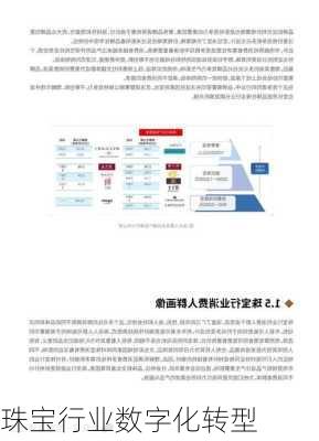 珠宝行业数字化转型