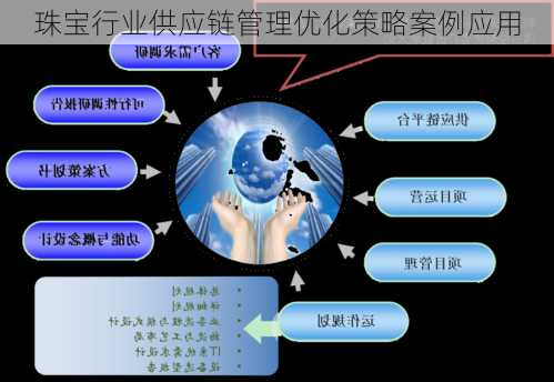 珠宝行业供应链管理优化策略案例应用