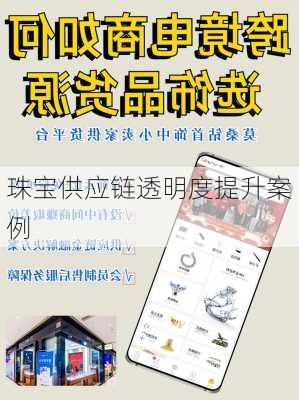 珠宝供应链透明度提升案例