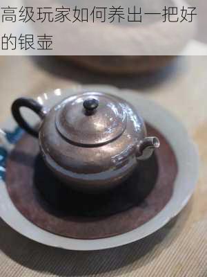 高级玩家如何养出一把好的银壶