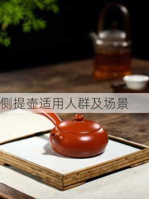 侧提壶适用人群及场景