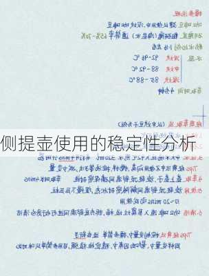 侧提壶使用的稳定性分析