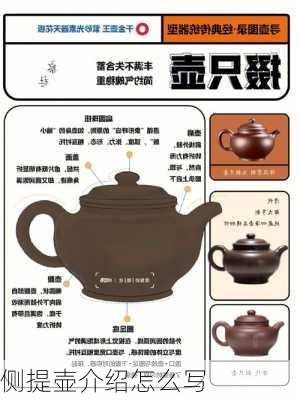 侧提壶介绍怎么写