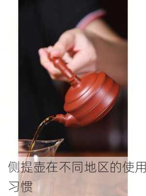 侧提壶在不同地区的使用习惯
