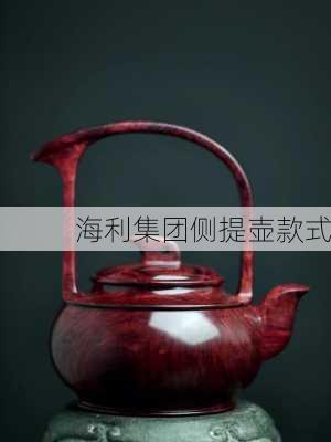海利集团侧提壶款式