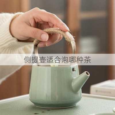 侧提壶适合泡哪种茶