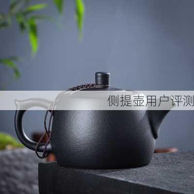 侧提壶用户评测