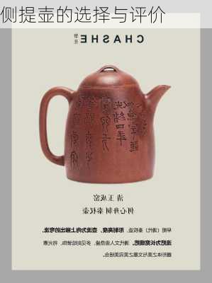 侧提壶的选择与评价