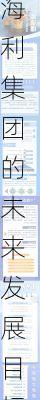海利集团的未来发展目标