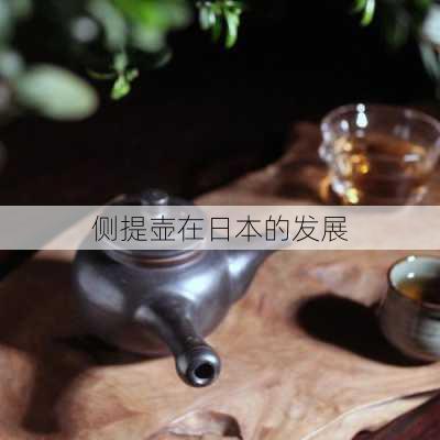 侧提壶在日本的发展