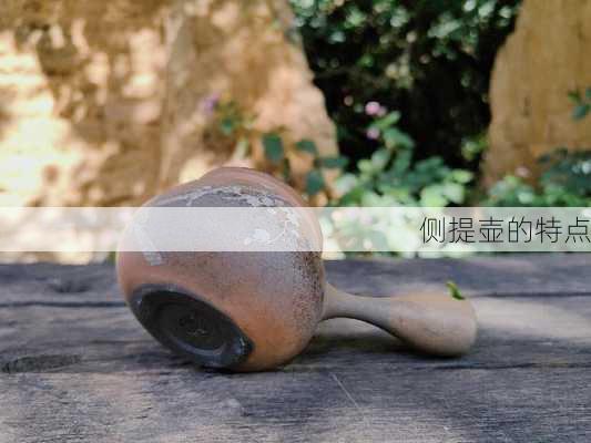 侧提壶的特点