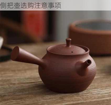 侧把壶选购注意事项