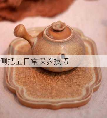 侧把壶日常保养技巧