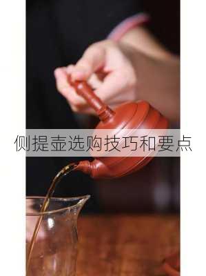 侧提壶选购技巧和要点