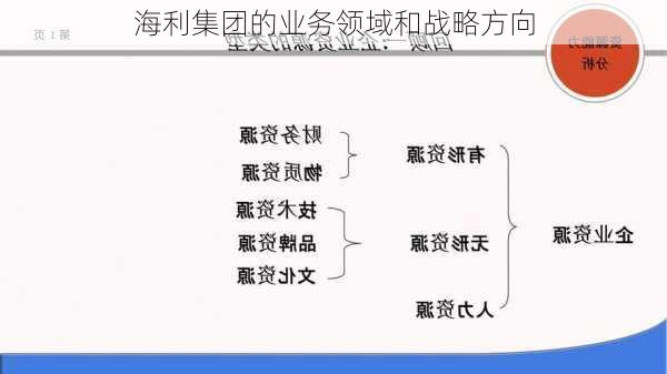 海利集团的业务领域和战略方向