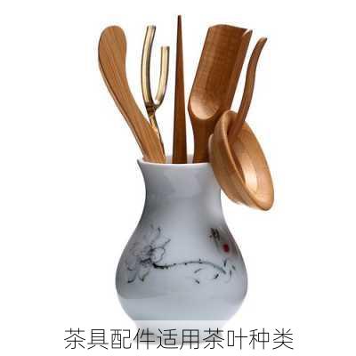 茶具配件适用茶叶种类