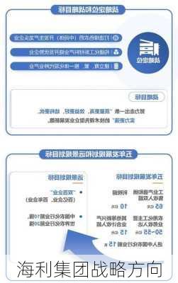 海利集团战略方向