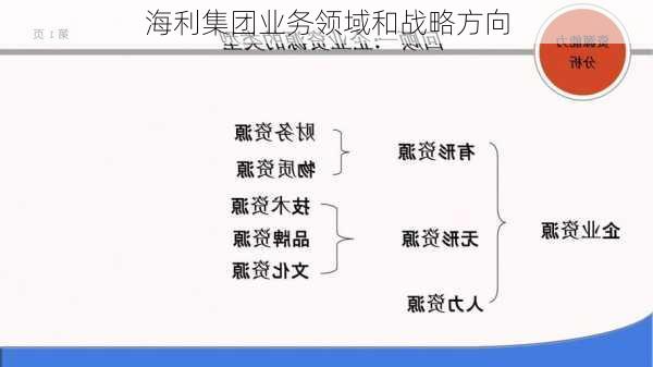 海利集团业务领域和战略方向